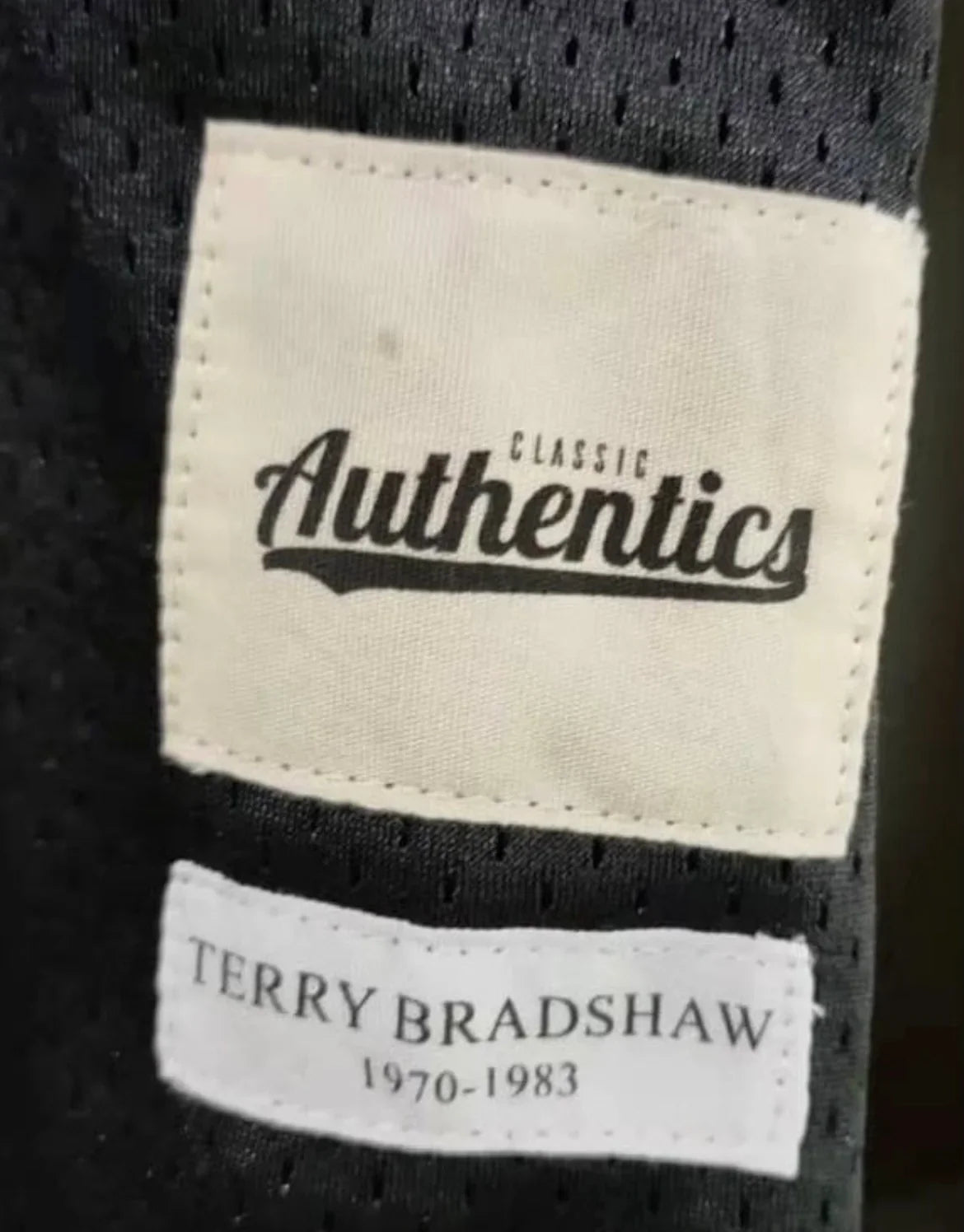 Terry Bradshaw Pittsburgh Steelers Classic Authentics Jersey Black product image 3, provided for visual reference and