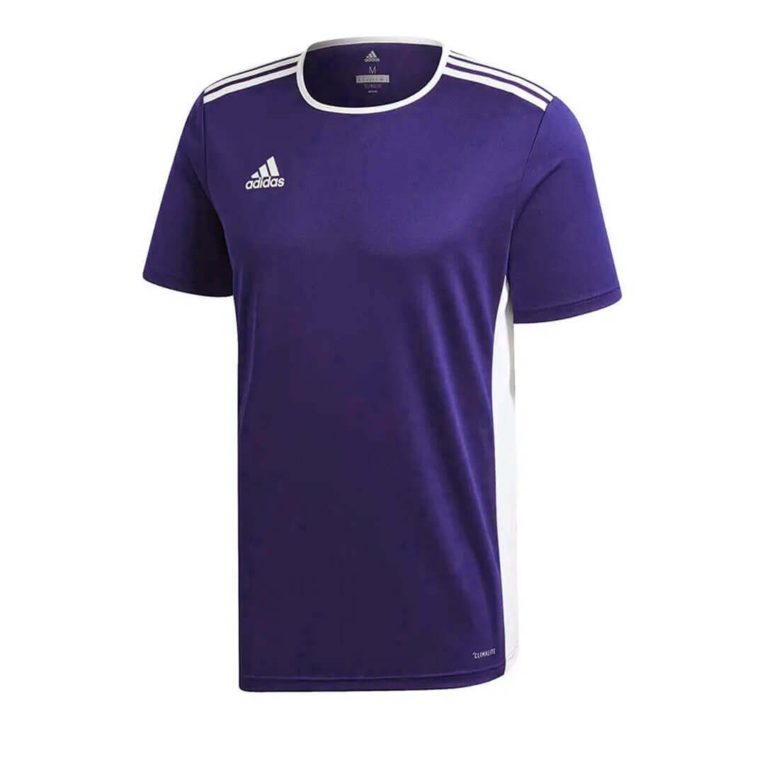 Adidas Entrada 18 Youth Jersey - Purple product image 1, provided for visual reference and product detail review