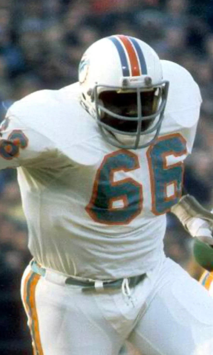 Larry Little Miami Dolphins NFL Mitchell & Ness Jersey product image 3, provided for visual reference and product detail