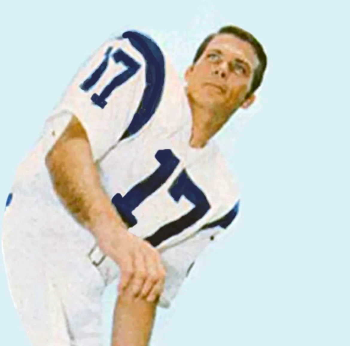 Richie Petitbon 1969 Los Angeles Rams NFL Mitchell & Ness Jersey product image 4, provided for visual reference and product