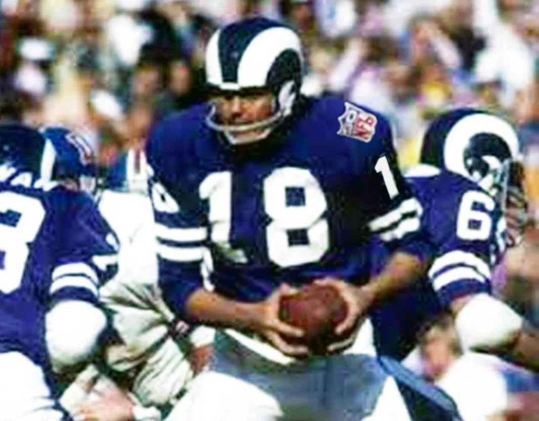 Roman Gabriel 1969 Los Angeles Rams NFL Mitchell & Ness Jersey blue product image 4, provided for visual reference and