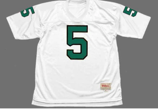 Roman Gabriel Philadelphia Eagles NFL Mitchell & Ness Jersey product image 2, provided for visual reference and product