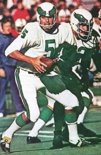 Roman Gabriel Philadelphia Eagles NFL Mitchell & Ness Jersey product image 3, provided for visual reference and product