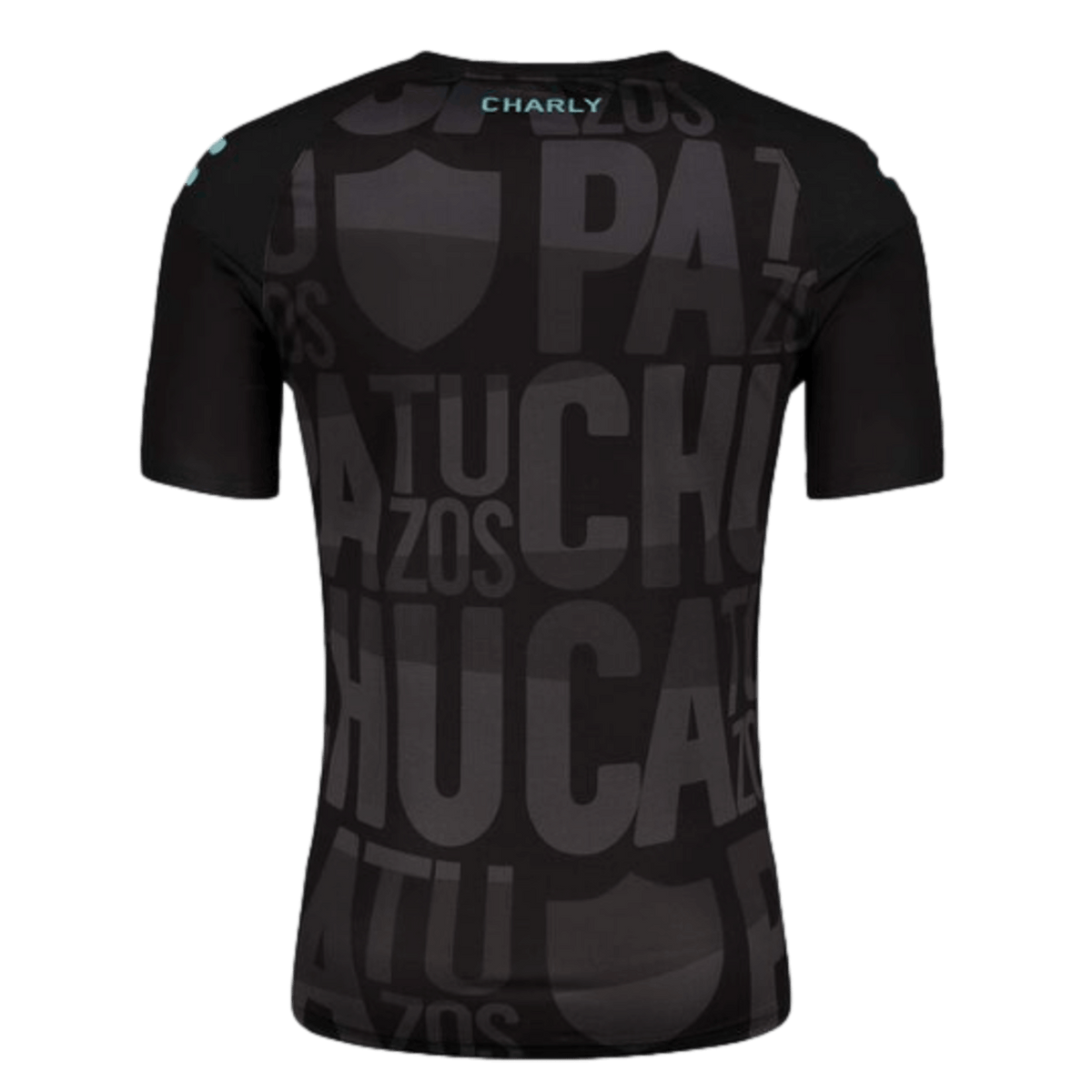 Charly Pachuca 23/24 Training Jersey product image 2, provided for visual reference and product detail review