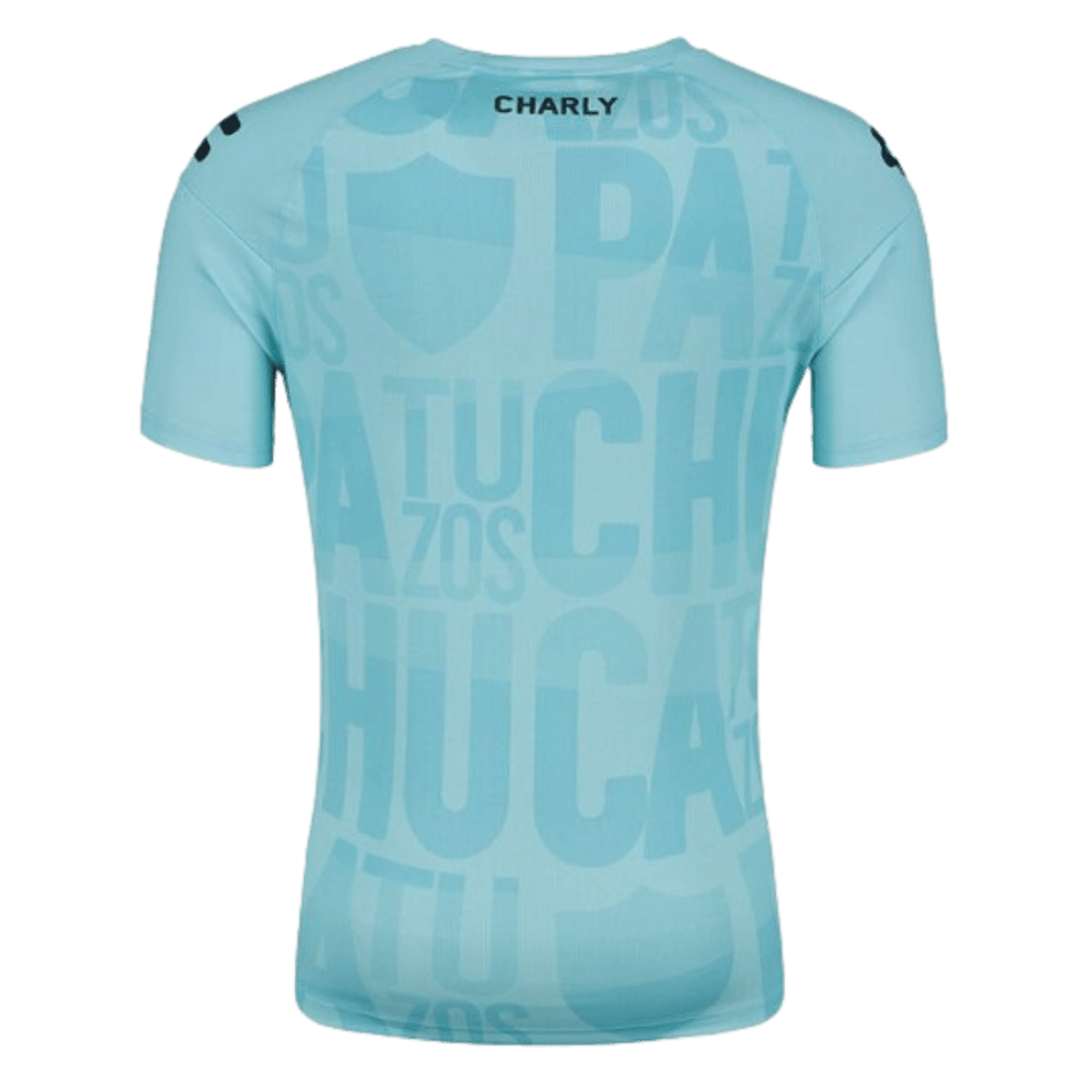 Charly Pachuca 23/24 Training Jersey product image 2, provided for visual reference and product detail review