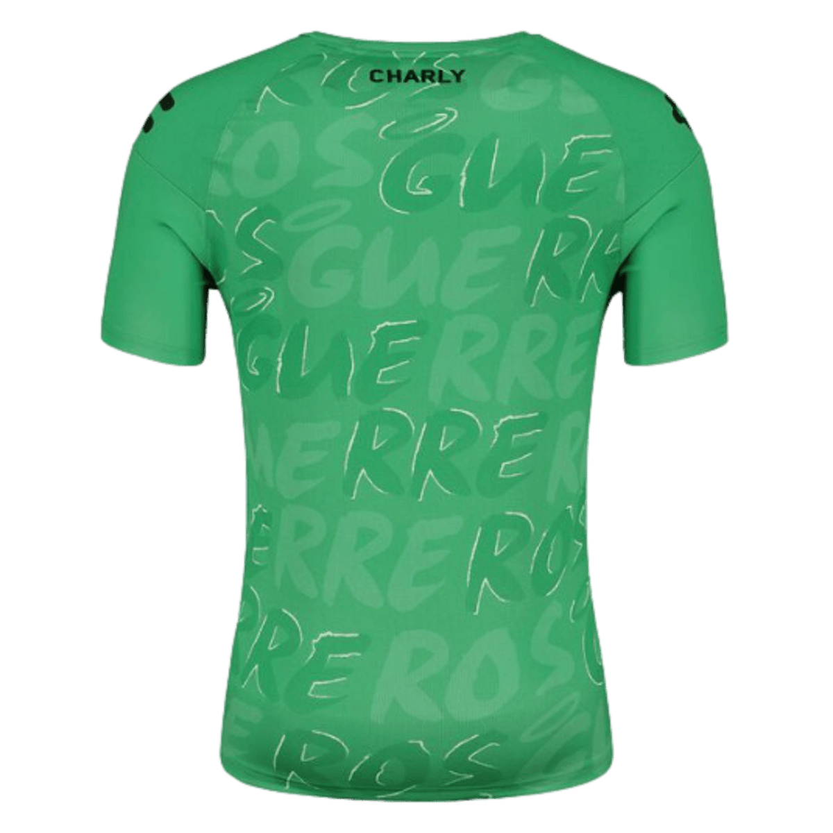 Charly Santos 23/24 Training Jersey product image 2, provided for visual reference and product detail review