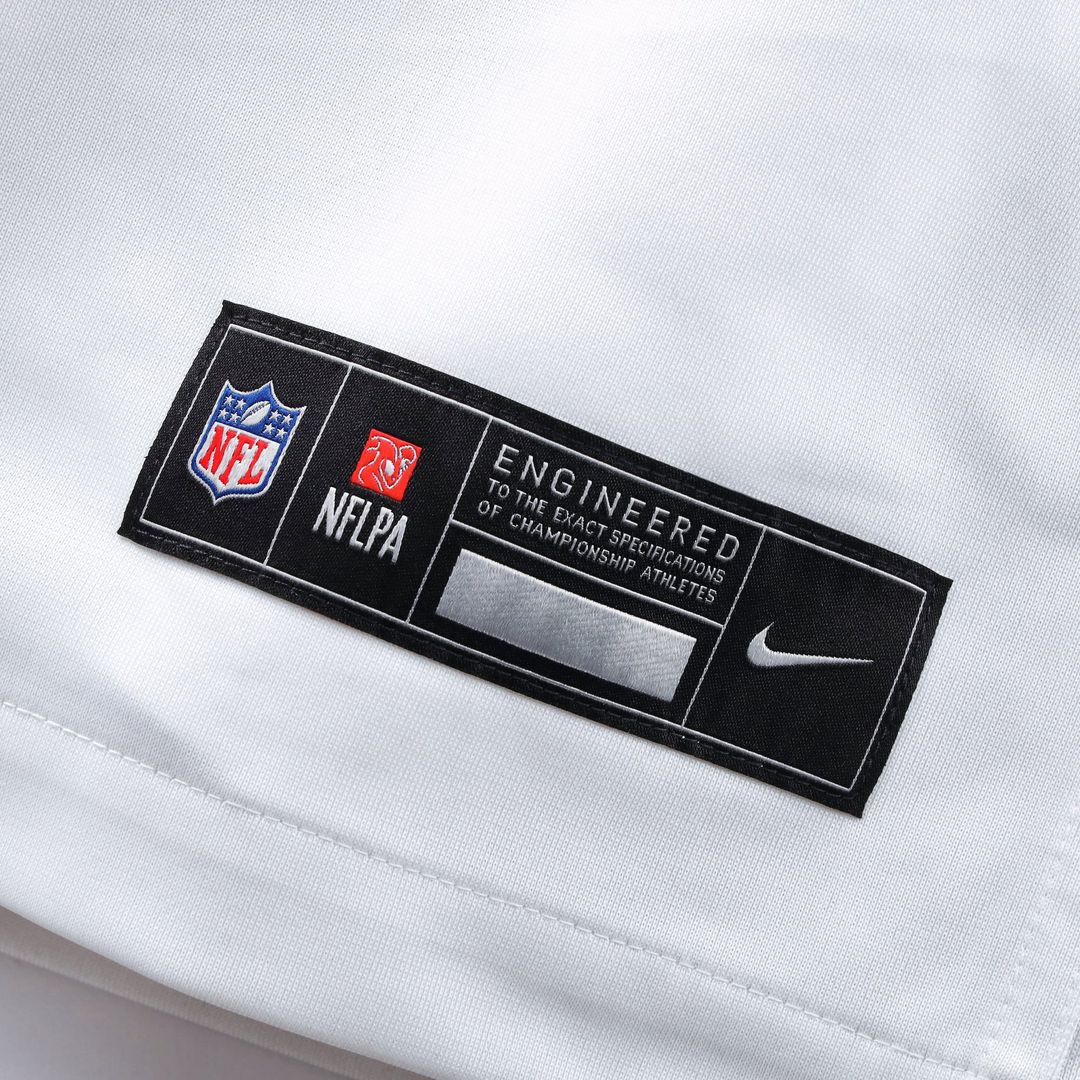 Men's Washington Commanders Sean Taylor Nike Burgundy product image 27