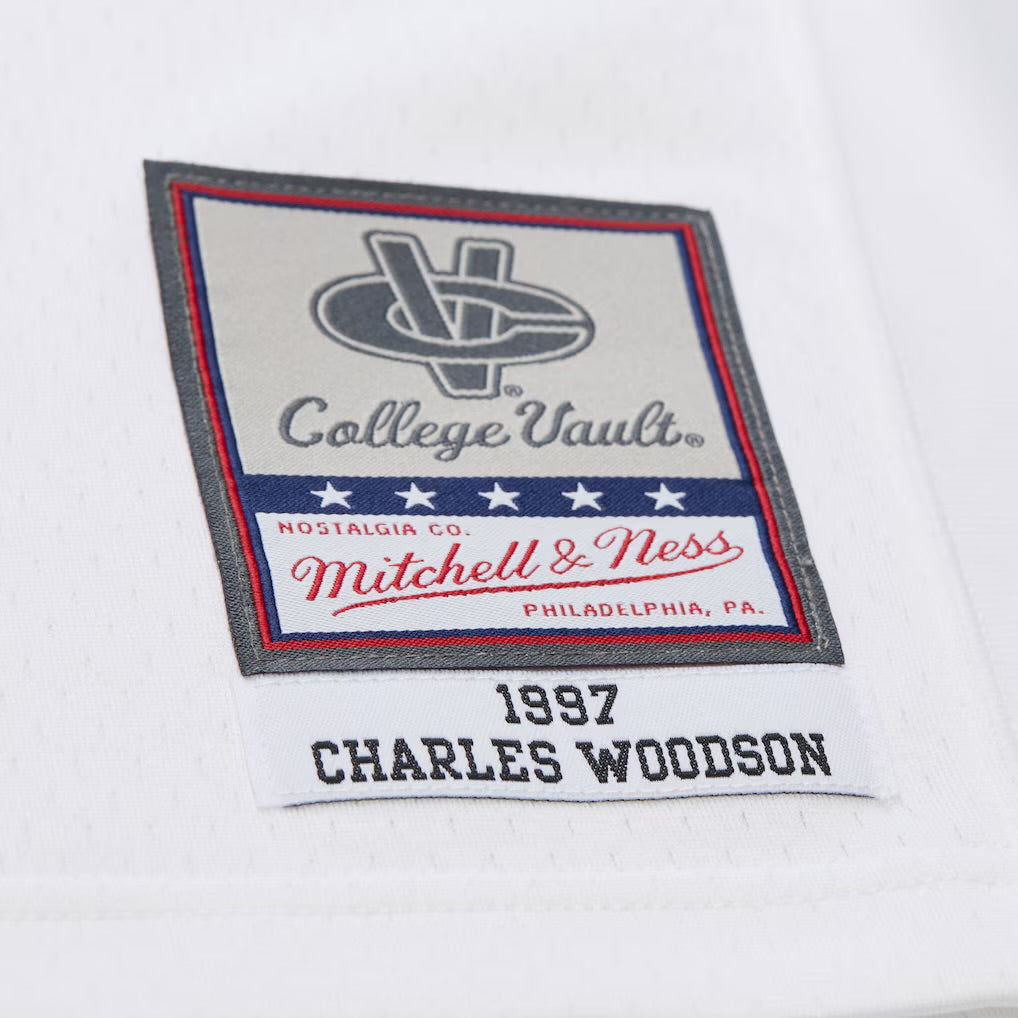 Charles Woodson YOUTH KIDS Michigan Wolverines Official NCAA Mitchell & Ness Jersey product image 3, provided for visual