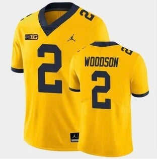 Charles Woodson YOUTH KIDS Michigan Wolverines Official NCAA Jersey product image 1, provided for visual reference and