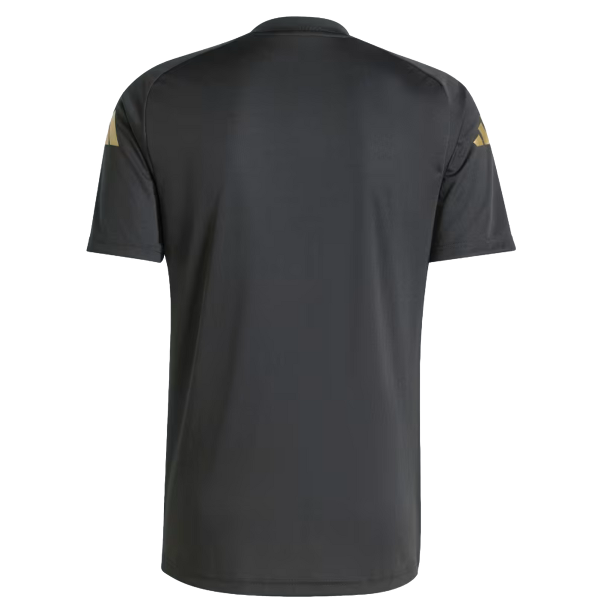 Adidas Argentina Pre-Match Jersey product image 2, provided for visual reference and product detail review