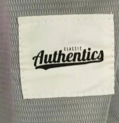 Anthony Rizzo New York Yankees Jersey Classic Authentics product image 3, provided for visual reference and product detail