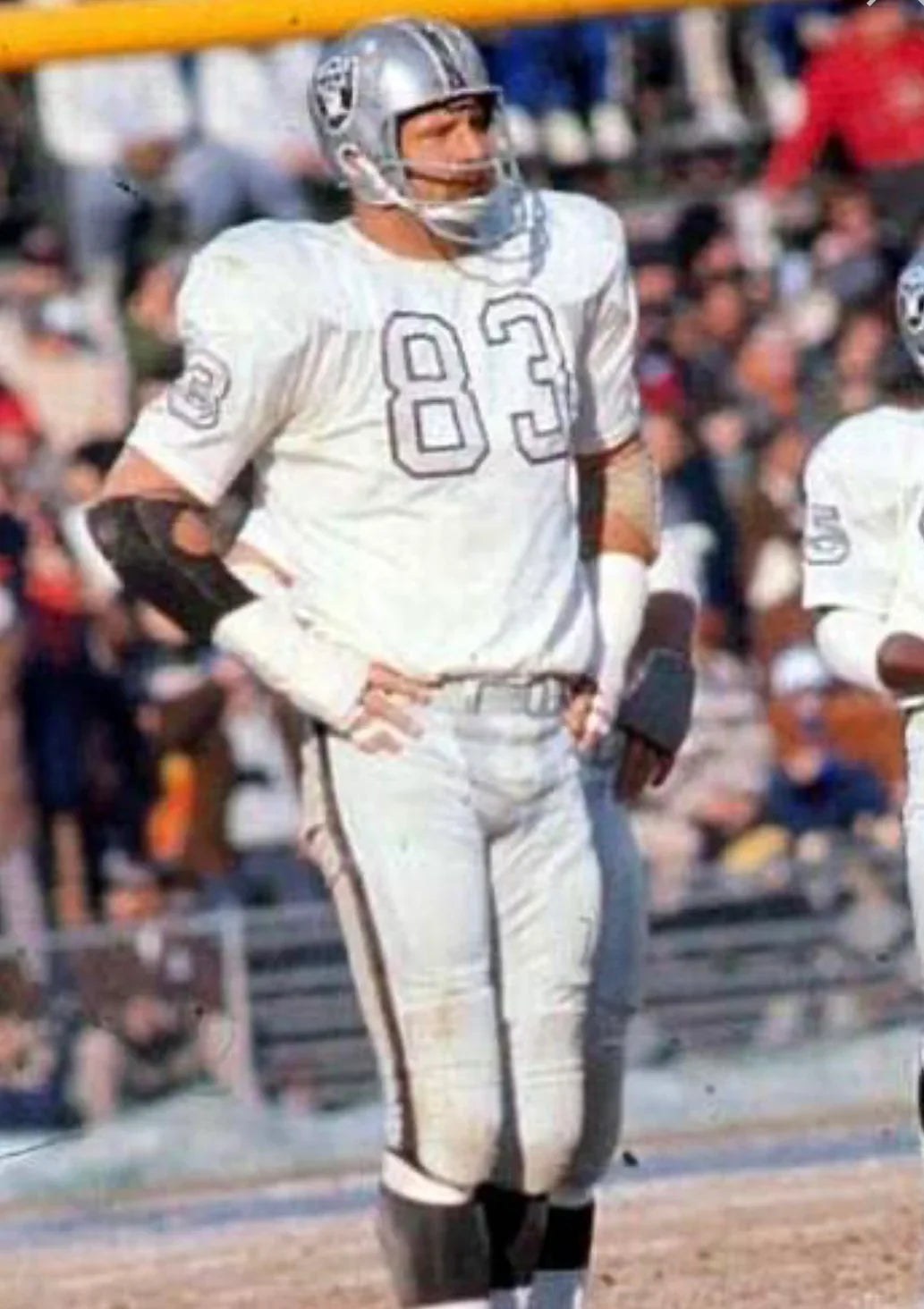 Ben Davidson 1970 Oakland Raiders Mitchell & Ness Jersey product image 3, provided for visual reference and product detail