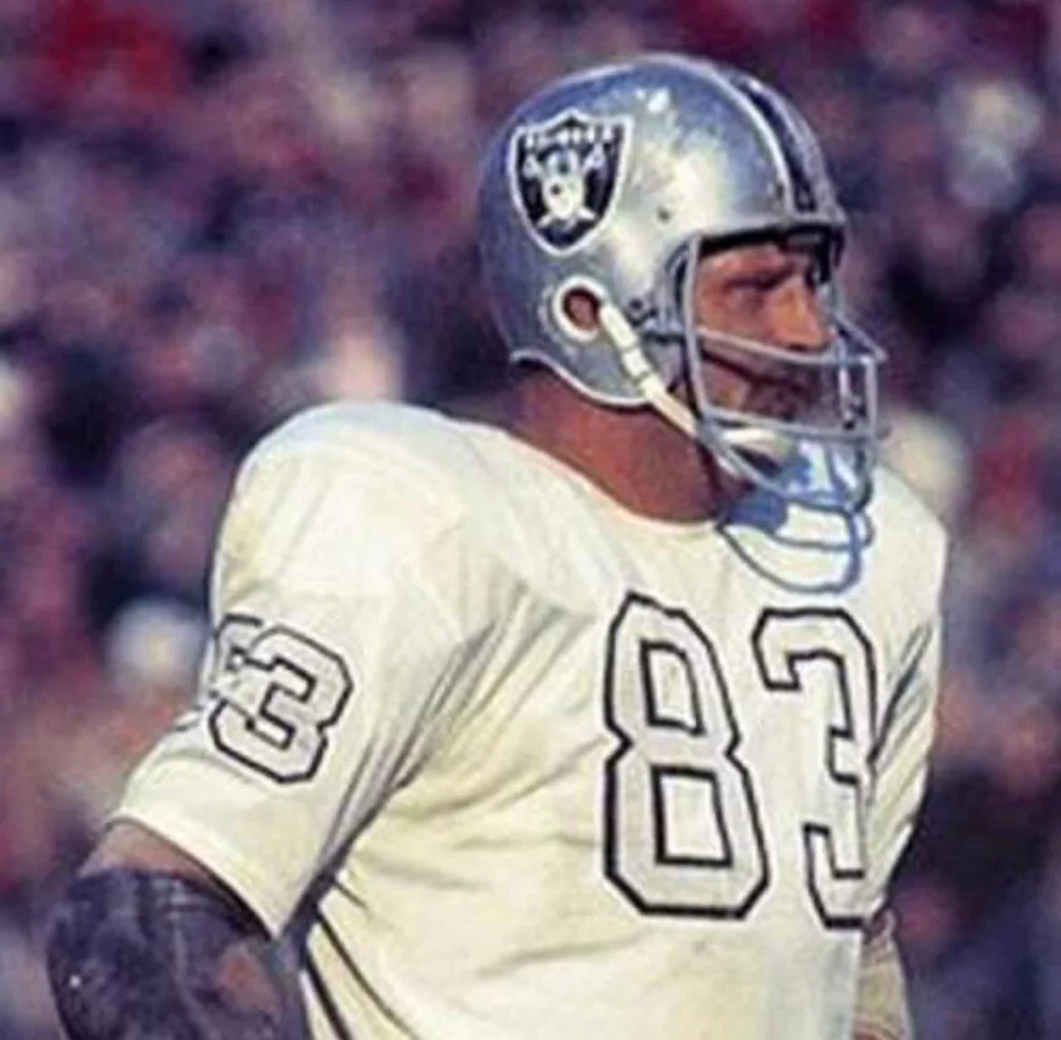 Ben Davidson 1970 Oakland Raiders Mitchell & Ness Jersey product image 4, provided for visual reference and product detail