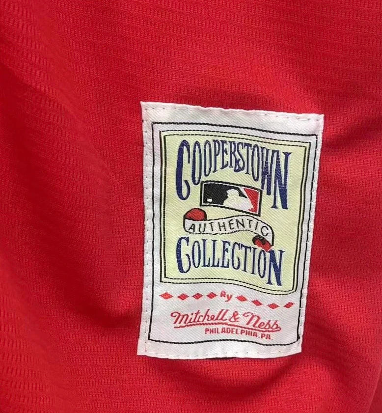 David Ortiz Boston Red Sox Official MLB Mitchell & Ness Jersey product image 3, provided for visual reference and product