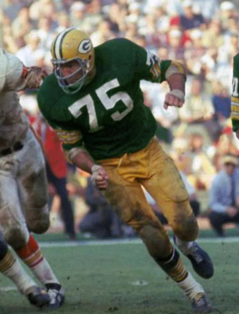 Forrest Gregg 1969 Green Bay Packers NFL Mitchell & Ness Jersey product image 4, provided for visual reference and product