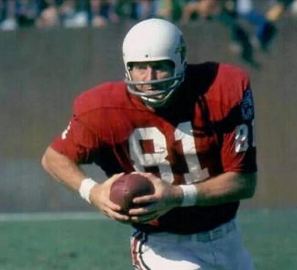 Jackie Smith 1969 St. Louis Cardinals NFL Mitchell & Ness Jersey product image 4, provided for visual reference and product