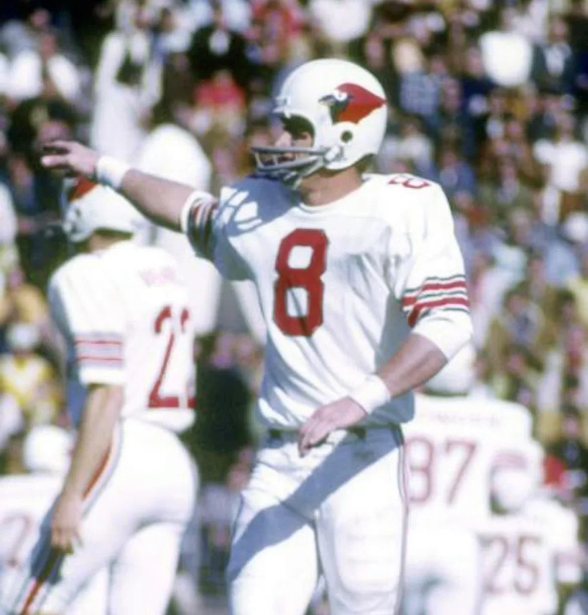 Larry Wilson St. Louis Cardinals NFL Mitchell & Ness Jersey white product image 3, provided for visual reference and product