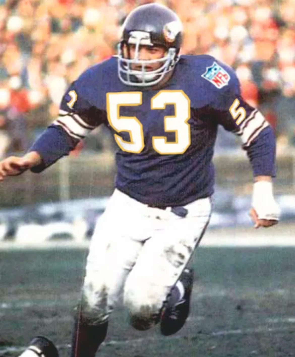 Mick Tingelhoff 1969 Minnesota Vikings NFL Mitchell & Ness Jersey product image 4, provided for visual reference and product