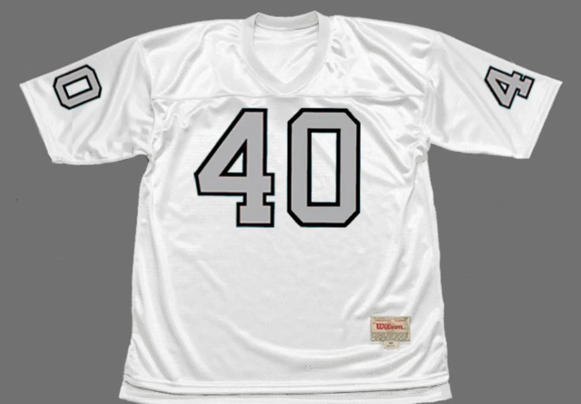 Pete Banaszak 1970 Oakland Raiders Mitchell & Ness Jersey product image 2, provided for visual reference and product detail