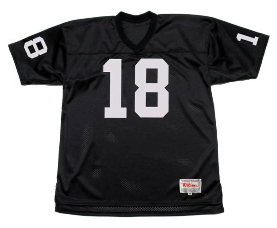 Randy Moss Oakland Raiders Mitchell & Ness Jersey product image 2, provided for visual reference and product detail review