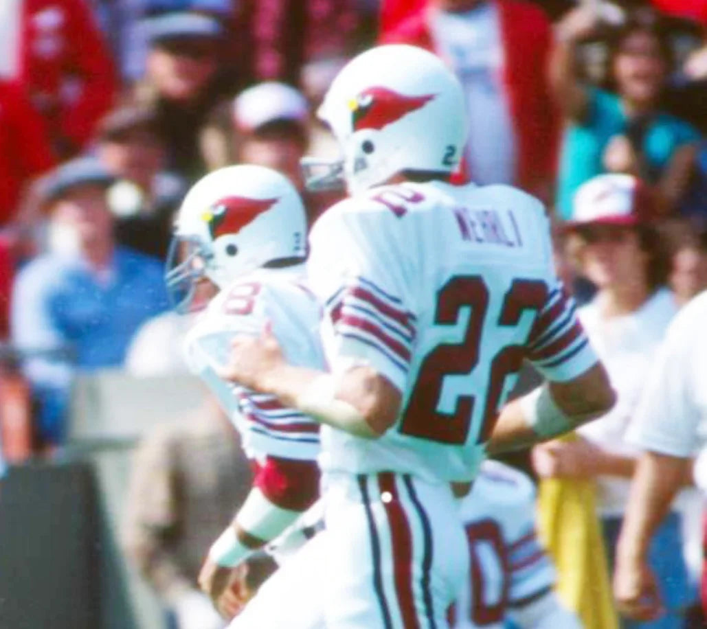 Roger Wehrli St. Louis Cardinals NFL Mitchell & Ness Jersey White product image 4, provided for visual reference and product