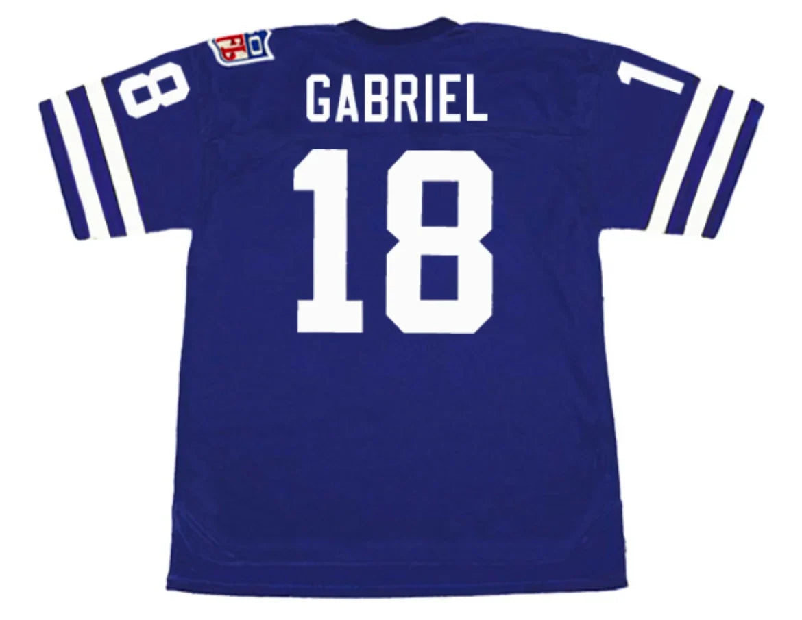 Roman Gabriel 1969 Los Angeles Rams NFL Mitchell & Ness Jersey blue product image 1, provided for visual reference and