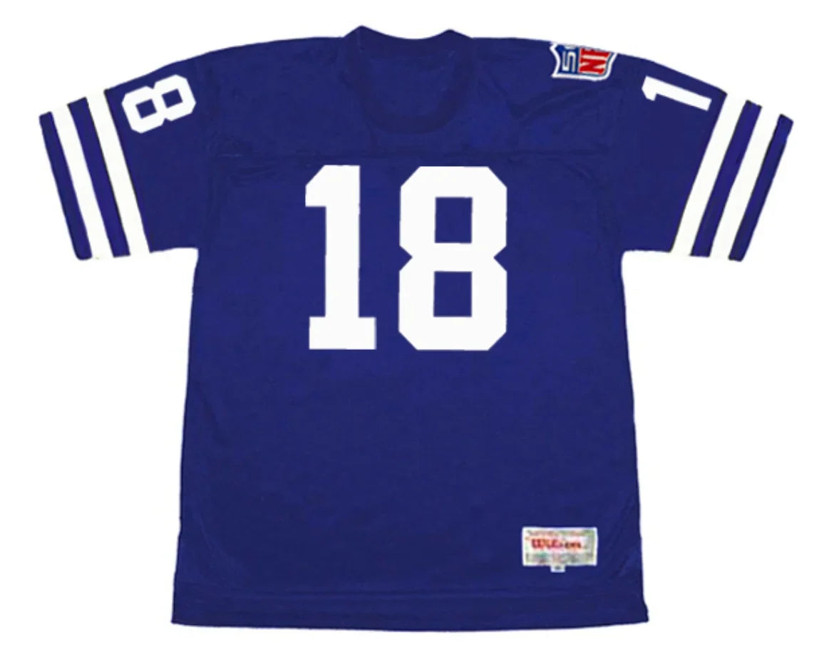 Roman Gabriel 1969 Los Angeles Rams NFL Mitchell & Ness Jersey blue product image 2, provided for visual reference and